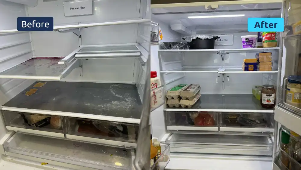 Fridge Cleaning
